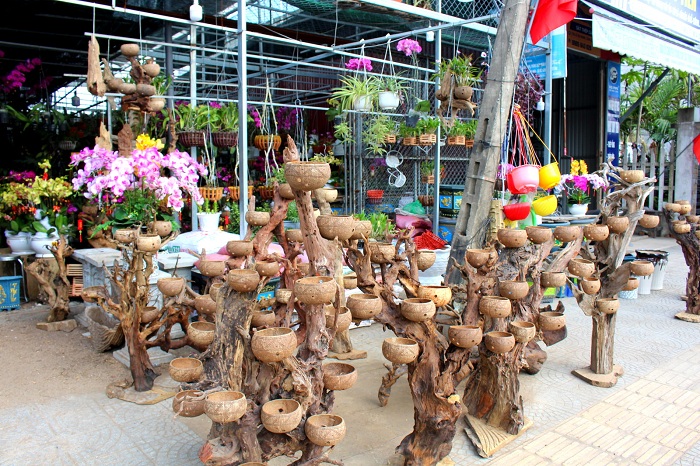 Giá thể bằng gỗ lũa + gáo dừa tại cơ sở Tịnh Tâm